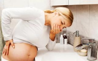 Подробное объяснение проблемы тошноты, рвоты и токсикоза (раннего гестоза) во время беременности: причины возник